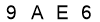 salt-886FCBC7