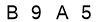 salt-53BBD39B