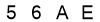 salt-65D066B4