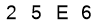 salt-E79FB9C2