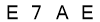 salt-837B5962