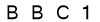 salt-E20658C6