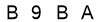 salt-9568DDBA