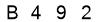 salt-8C7C584D