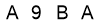 salt-457A9312