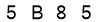 salt-4016468B