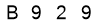 salt-79FBC26B