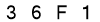 salt-7A6E37A6