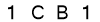 salt-B5495C28