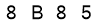 salt-F75F0849