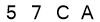 salt-86E9F2EA