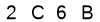 salt-6373D1C1