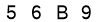 salt-4BB84514