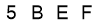 salt-CE8B9A6E