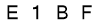 salt-950553BF