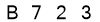 salt-61D12B31