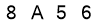 salt-6EE84AC5