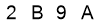 salt-F73AE3CD