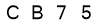 salt-9670B271