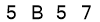 salt-09B49FB6
