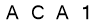 salt-16D0736E