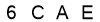 salt-2559C504