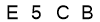 salt-2492BCF0