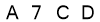 salt-A6E1E9FF