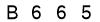 salt-89B66520