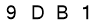 salt-BB4C1599