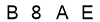 salt-EAE26240